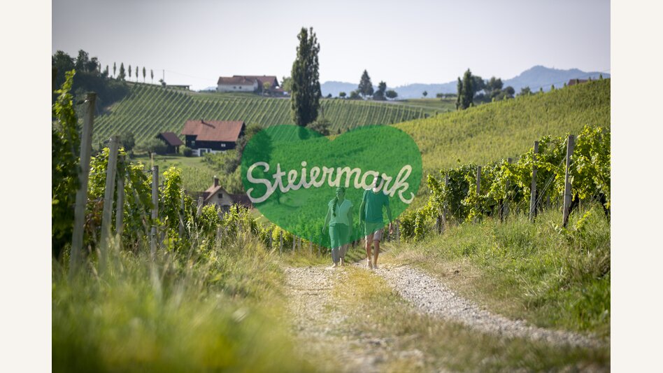 Hiking through the vineyards of southern Styria | © Steiermark Tourismus | Tom Lamm