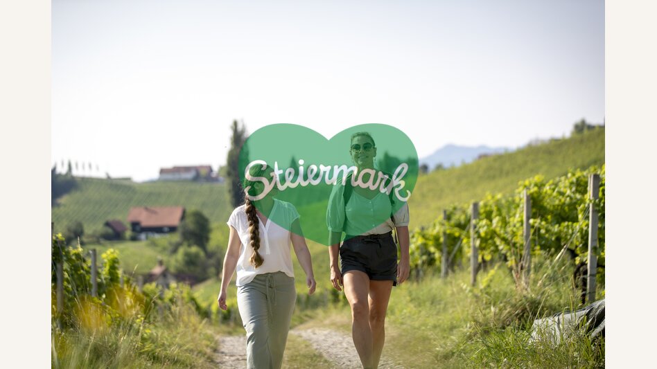 Hiking through the vineyards of southern Styria | © Steiermark Tourismus | Tom Lamm