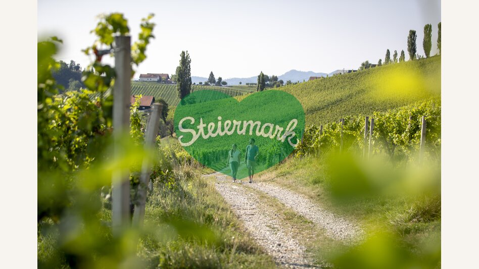Hiking through the vineyards of southern Styria | © Steiermark Tourismus | Tom Lamm