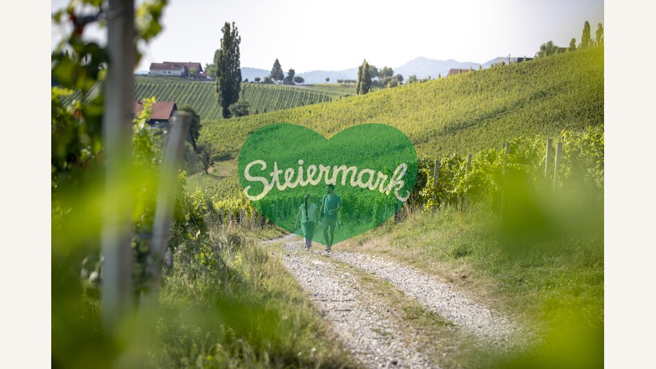 Hiking through the vineyards of southern Styria | © Steiermark Tourismus | Tom Lamm