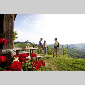 Hiking break at the Buschenschank with a view of the South Styrian vineyards | © Steiermark Tourismus | Tom Lamm