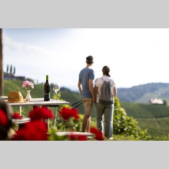Hiking break at the Buschenschank with a view of the South Styrian vineyards | © Steiermark Tourismus | Tom Lamm