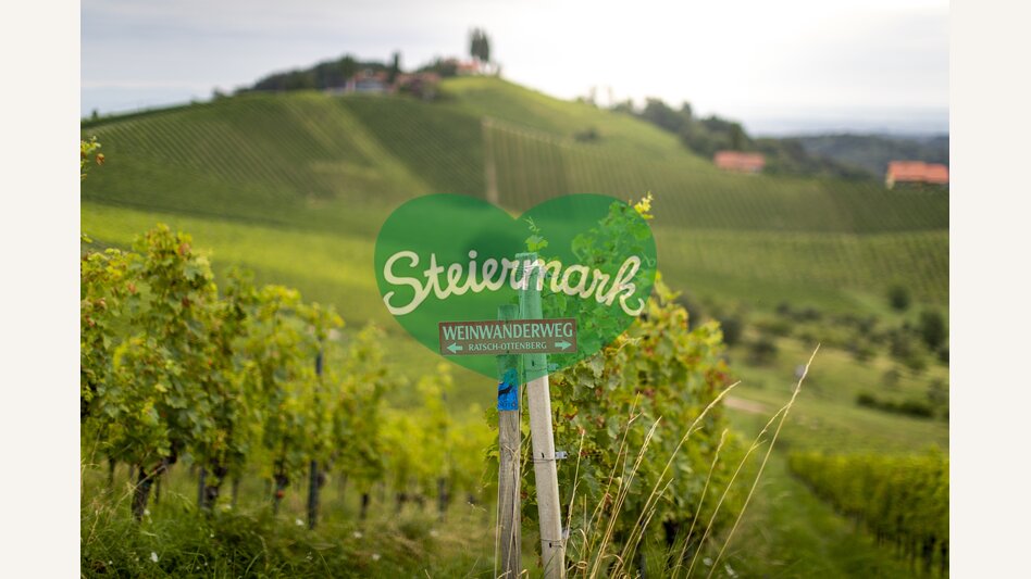 Where to on the wine (trail)...? | © Steiermark Tourismus | Tom Lamm