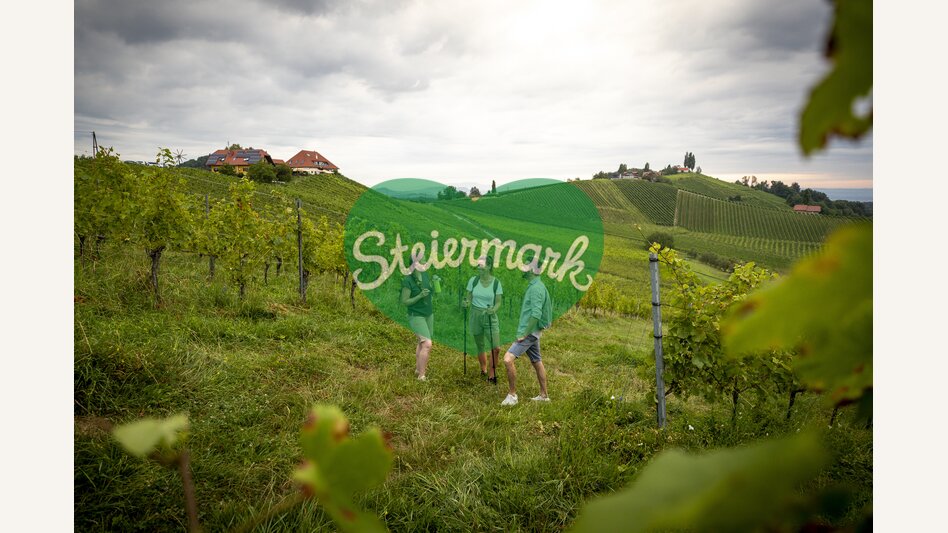 Hiking through the vineyards of southern Styria | © Steiermark Tourismus | Tom Lamm