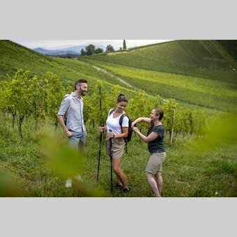 Hiking through the vineyards of southern Styria | © Steiermark Tourismus | Tom Lamm