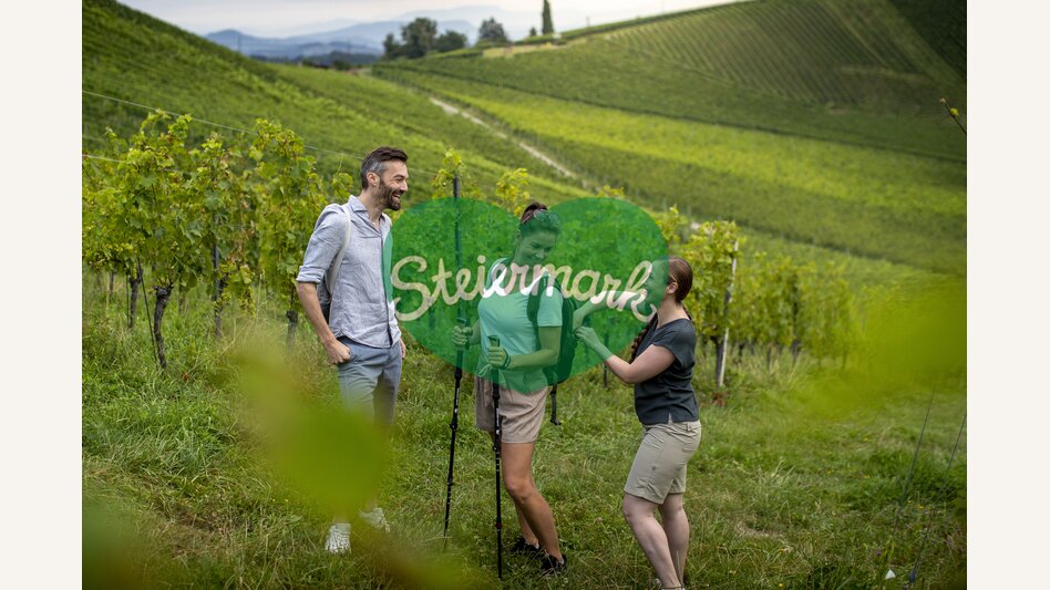 Hiking through the vineyards of southern Styria | © Steiermark Tourismus | Tom Lamm