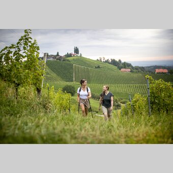 Hiking through the vineyards of southern Styria | © Steiermark Tourismus | Tom Lamm