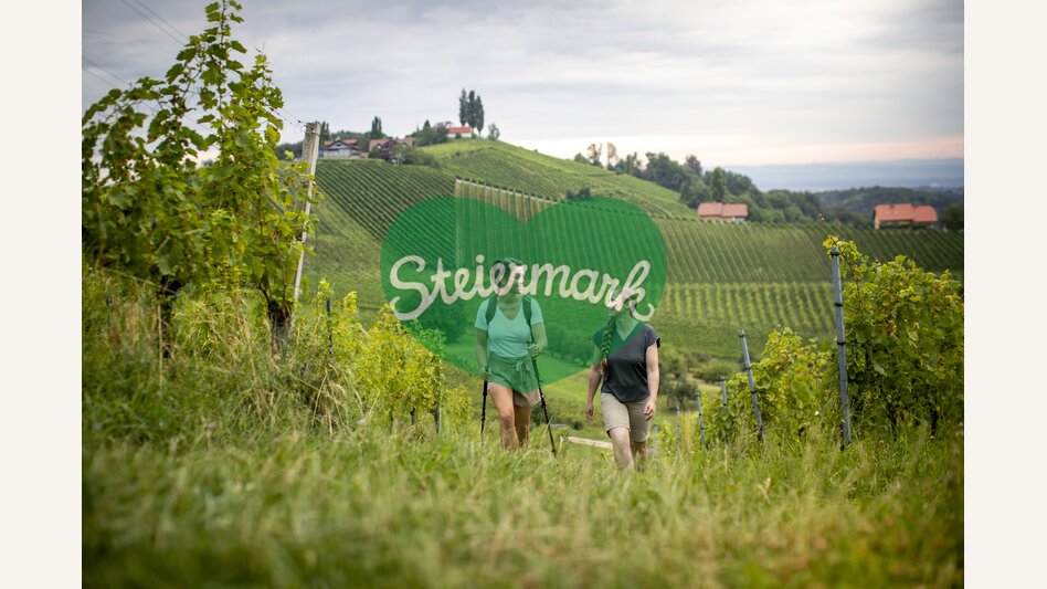 Hiking through the vineyards of southern Styria | © Steiermark Tourismus | Tom Lamm