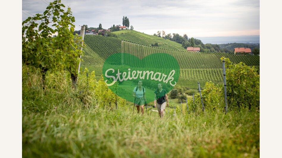 Hiking through the vineyards of southern Styria | © Steiermark Tourismus | Tom Lamm