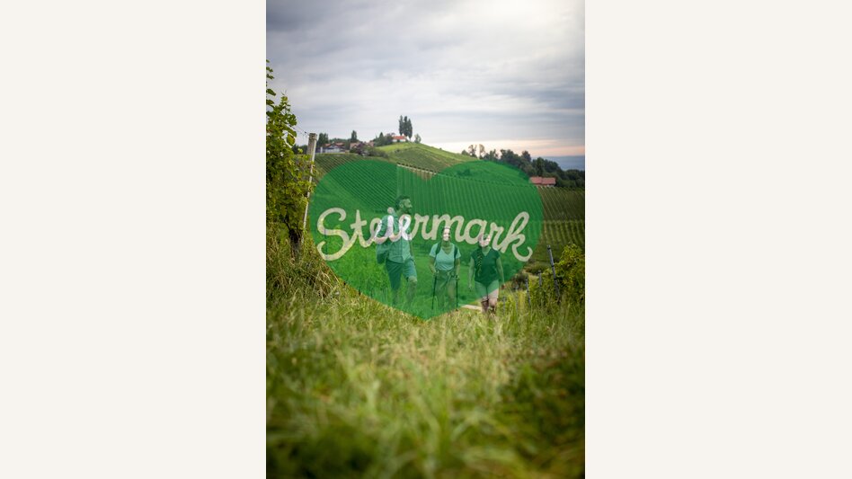 Wanderung durch die südsteirischen Weinberge | © STG | Tom Lamm