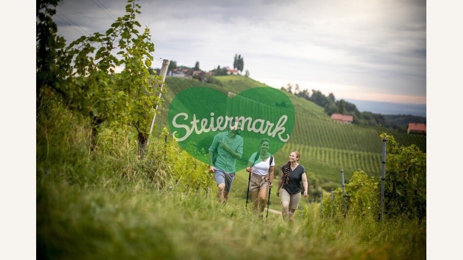 Hiking through the vineyards of southern Styria | © Steiermark Tourismus | Tom Lamm