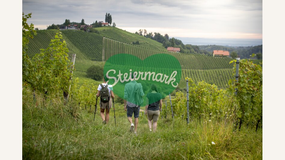Hiking through the vineyards of southern Styria | © Steiermark Tourismus | Tom Lamm