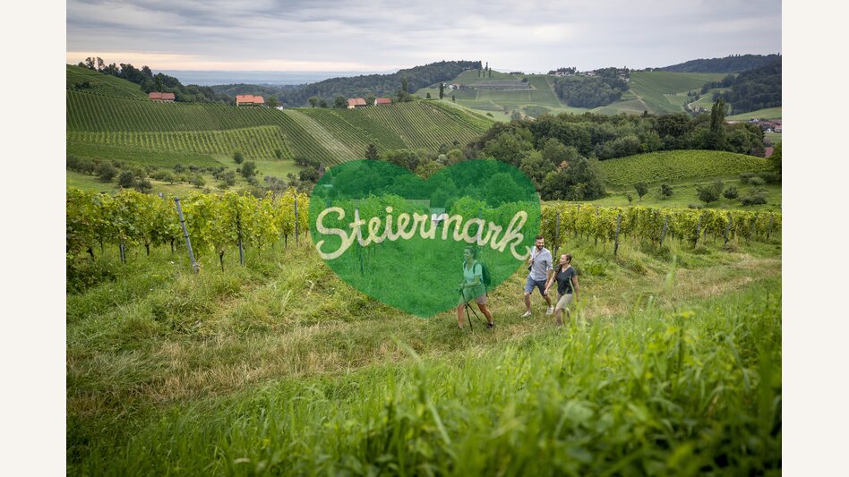Hiking through the vineyards of southern Styria | © Steiermark Tourismus | Tom Lamm