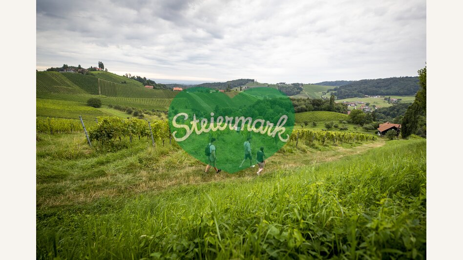 Hiking through the vineyards of southern Styria | © Steiermark Tourismus | Tom Lamm