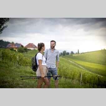 Hiking through the vineyards of southern Styria | © Steiermark Tourismus | Tom Lamm