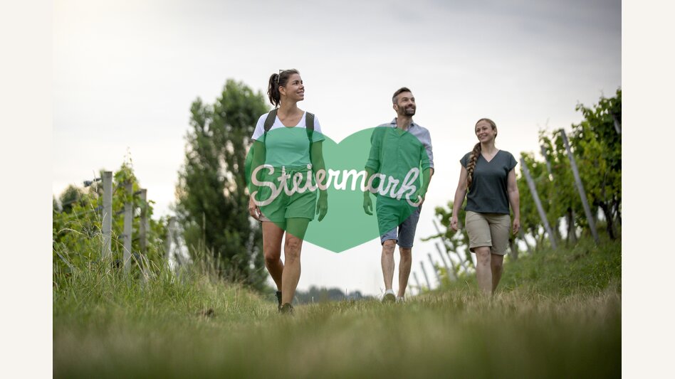 Hiking through the vineyards of southern Styria | © Steiermark Tourismus | Tom Lamm