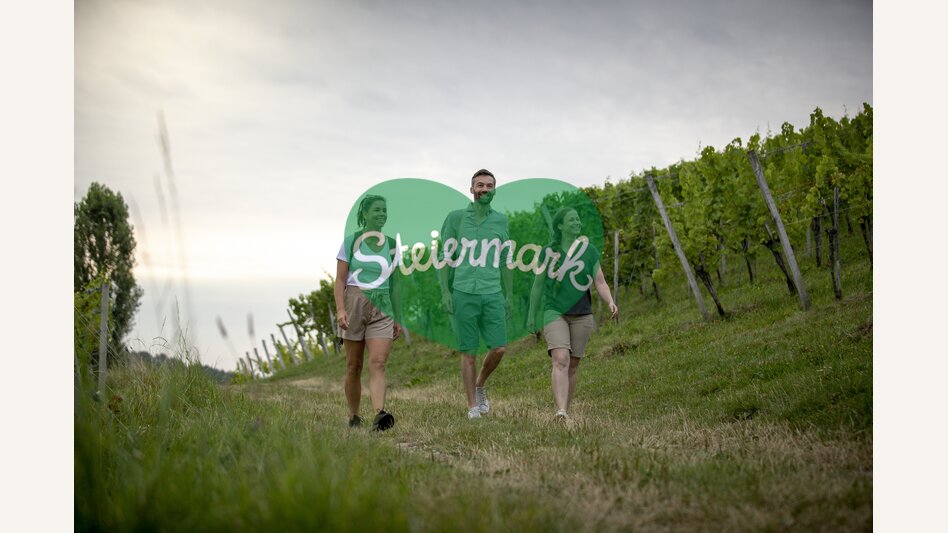Hiking through the vineyards of southern Styria | © Steiermark Tourismus | Tom Lamm