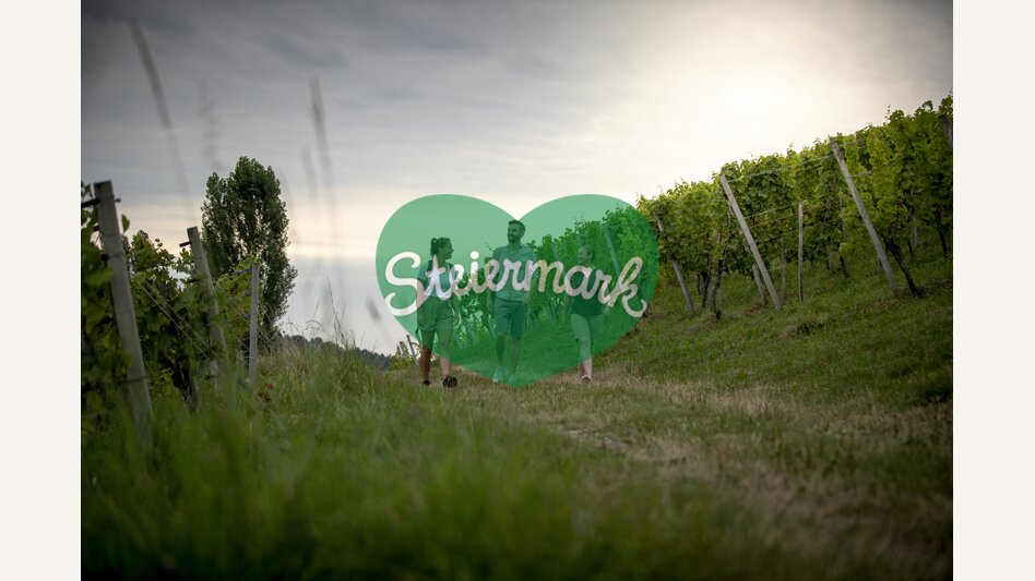 Hiking through the vineyards of southern Styria | © Steiermark Tourismus | Tom Lamm