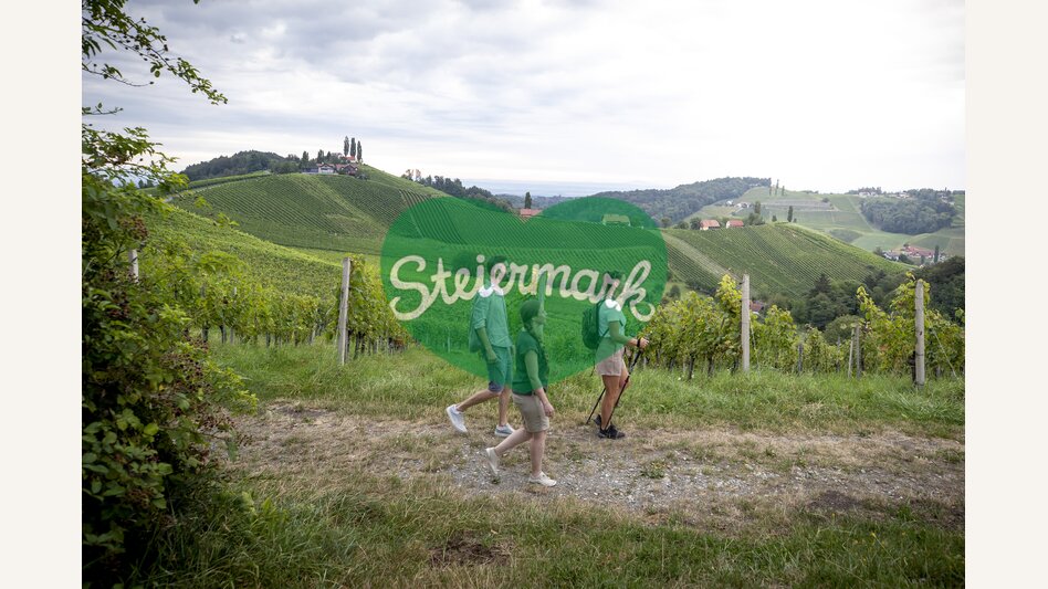 Hiking through the vineyards of southern Styria | © Steiermark Tourismus | Tom Lamm