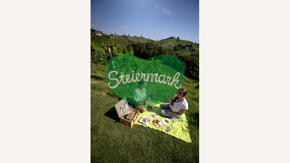 Picknick inmitten der südsteirischen Weinberge | © STG | Tom Lamm
