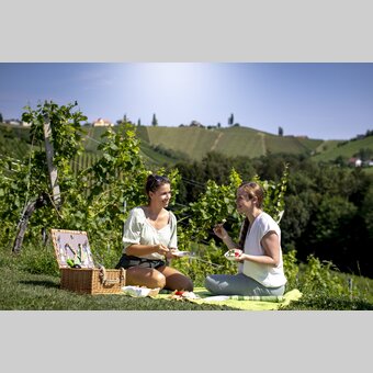 Enjoyable break in the middle of the South Styrian vineyards | © Steiermark Tourismus | Tom Lamm
