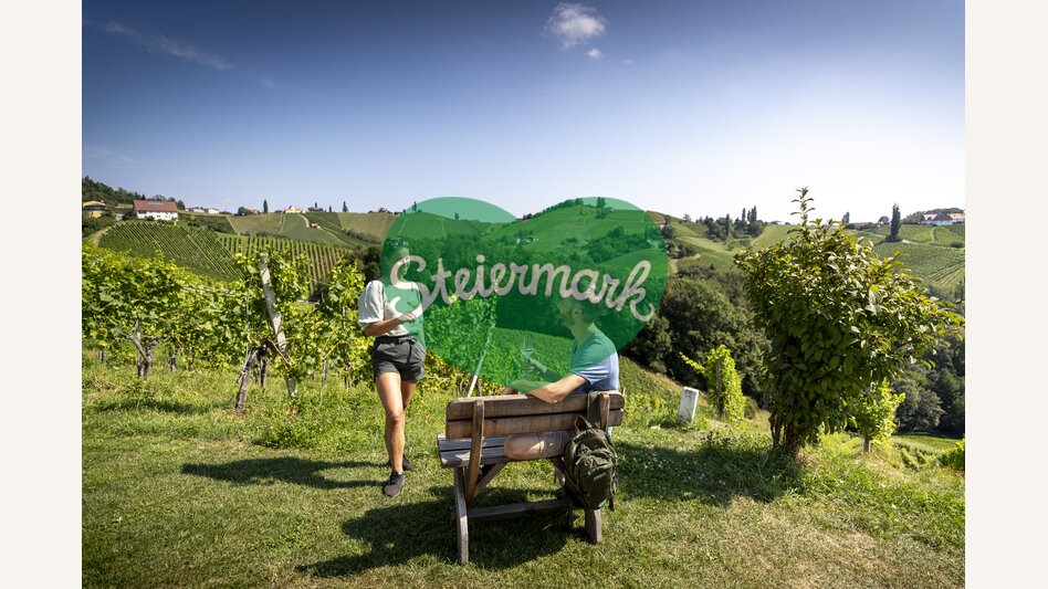 Enjoyable hiking break in the middle of the South Styrian vineyards | © Steiermark Tourismus | Tom Lamm