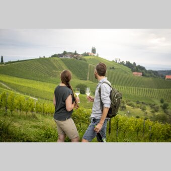 Enjoyable break in the middle of the South Styrian vineyards | © Steiermark Tourismus | Tom Lamm