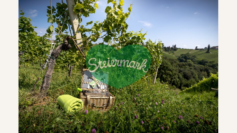 Picnic Still Life in the South Styrian Vineyard | © STG | Tom Lamm