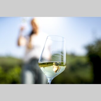 Enjoyable hiking break in the middle of vineyards | © STG | Tom Lamm