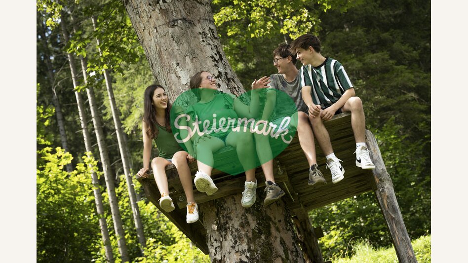 At the high ropes course | © Steiermark Tourismus | Jesse Streibl