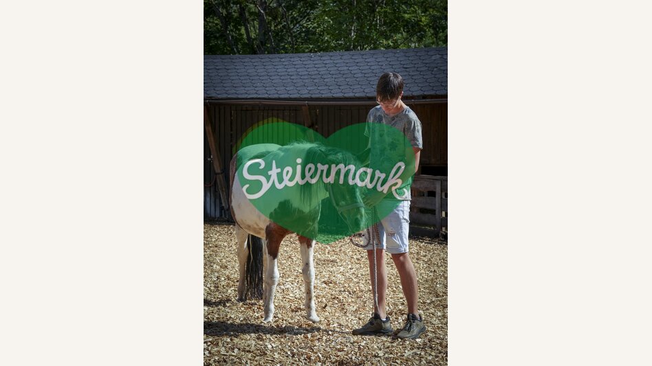 In the petting zoo with the horses | © Steiermark Tourismus | Jesse Streibl
