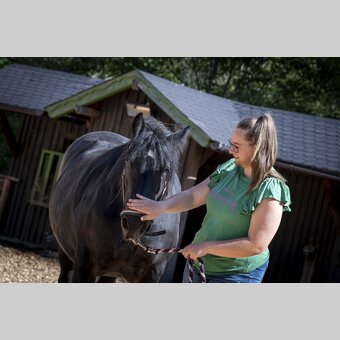 In the petting zoo with the horses | © Steiermark Tourismus | Jesse Streibl