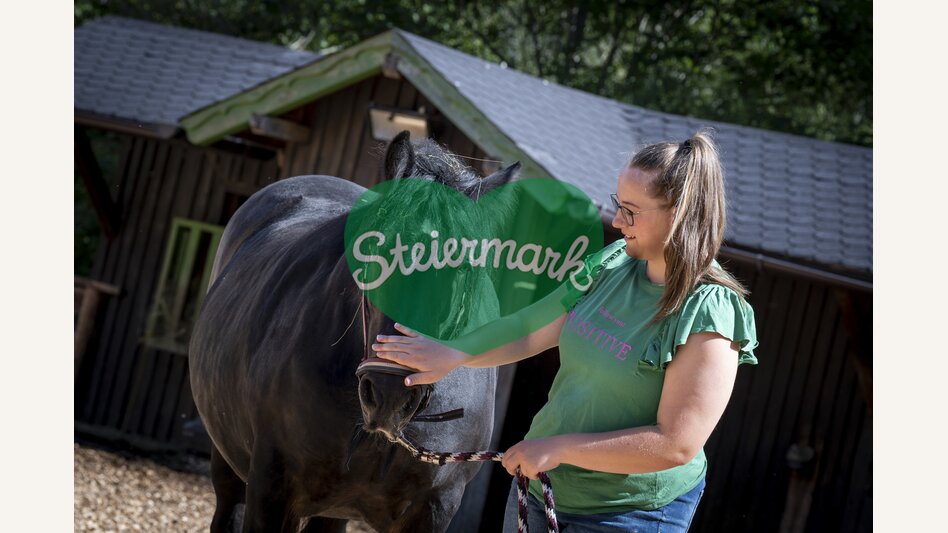 In the petting zoo with the horses | © Steiermark Tourismus | Jesse Streibl