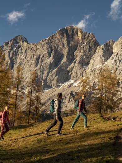 Herbstwanderung im Almgebiet am Dachstein | © STG | photo-austria.at