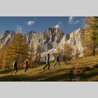 Herbstwanderung im Almgebiet am Dachstein | © STG | photo-austria.at