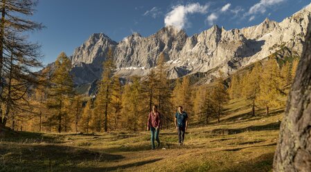 Herbstwanderung im Almgebiet am Dachstein | © STG | photo-austria.at