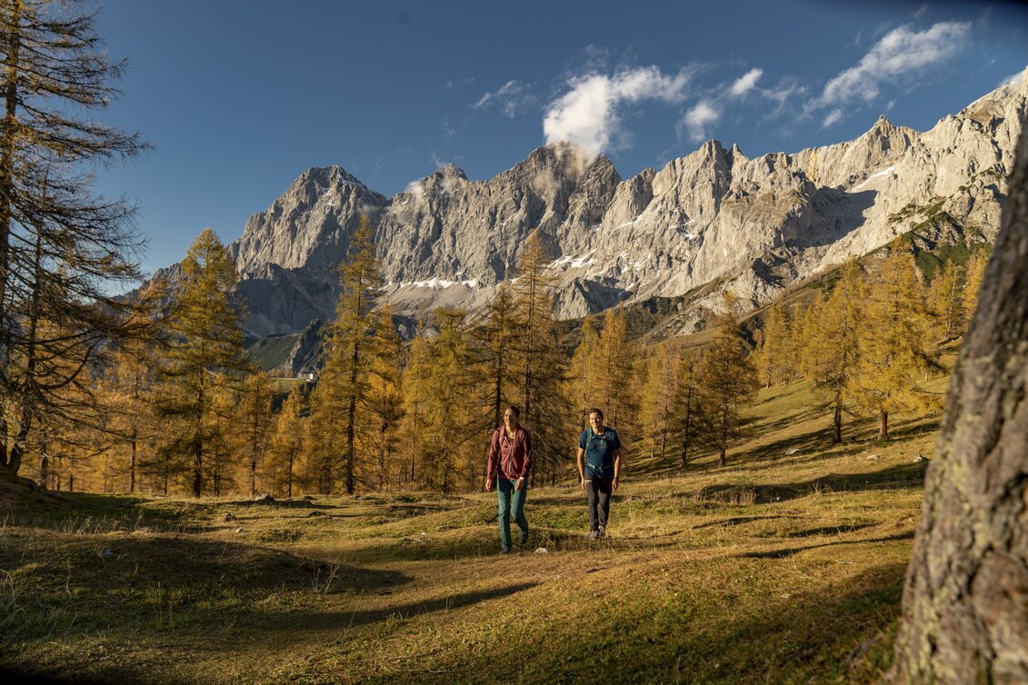 Herbstwanderung im Almgebiet am Dachstein | © STG | photo-austria.at