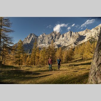 Autumn hike in the Dachstein alpine pasture area | © Steiermark Tourismus | photo-austria.at