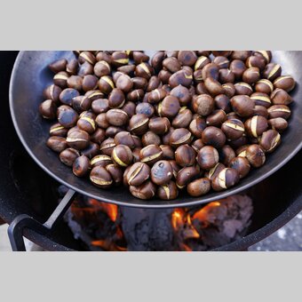 Ready to taste: chestnuts | © STG | Harry Schiffer