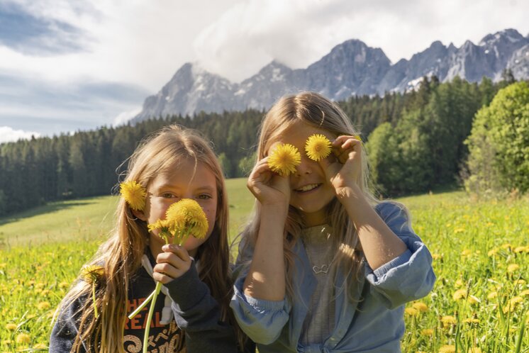 Frühlingsblumen in Ramsau am Dachstein | © STG | photo-austria.at