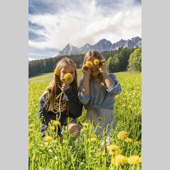 Frühlingsblumen in Ramsau am Dachstein | © STG | photo-austria.at