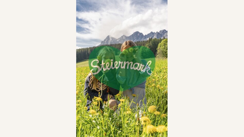 Frühlingsblumen in Ramsau am Dachstein | © STG | photo-austria.at