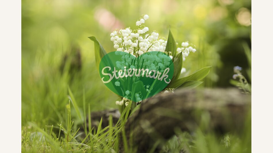 Lily of the Valley | © Steiermark Tourismus | Bernhard Loder