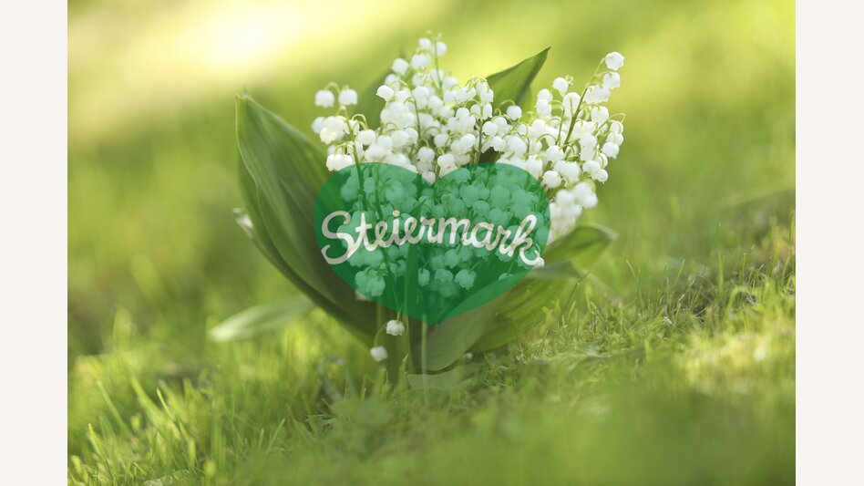 Lily of the Valley | © Steiermark Tourismus | Bernhard Loder