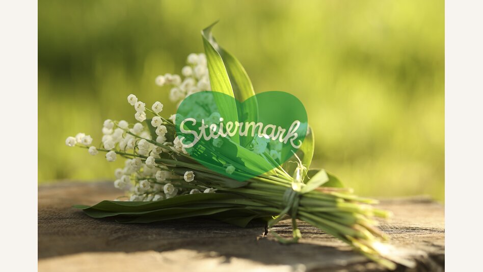 Lily of the Valley | © Steiermark Tourismus | Bernhard Loder