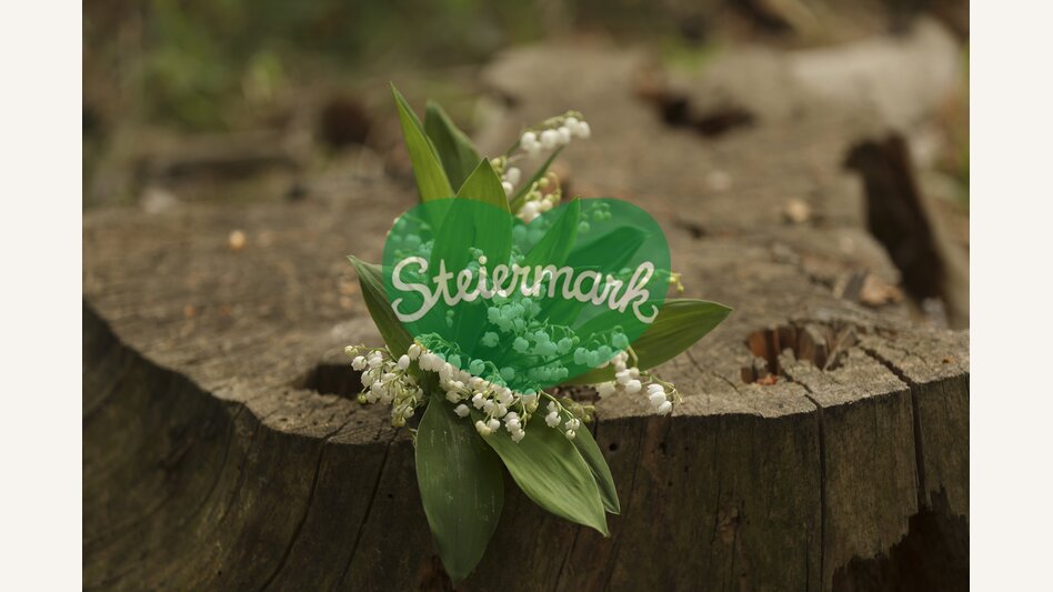 Lily of the Valley | © Steiermark Tourismus | Bernhard Loder