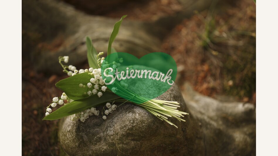 Lily of the Valley | © Steiermark Tourismus | Bernhard Loder