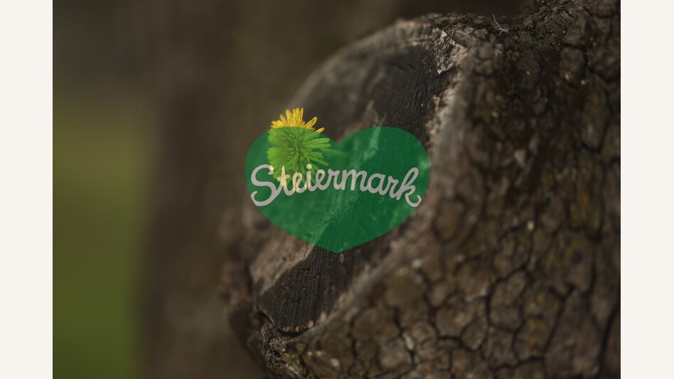 Dandelion | © Steiermark Tourismus | Bernhard Loder