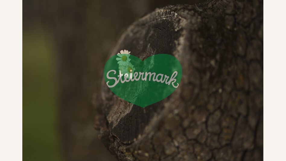 Daisies | © Steiermark Tourismus | Bernhard Loder