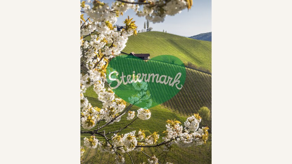 The picturesque landscape of southern Styria | © Steiermark Tourismus | Wolfgang Jauk